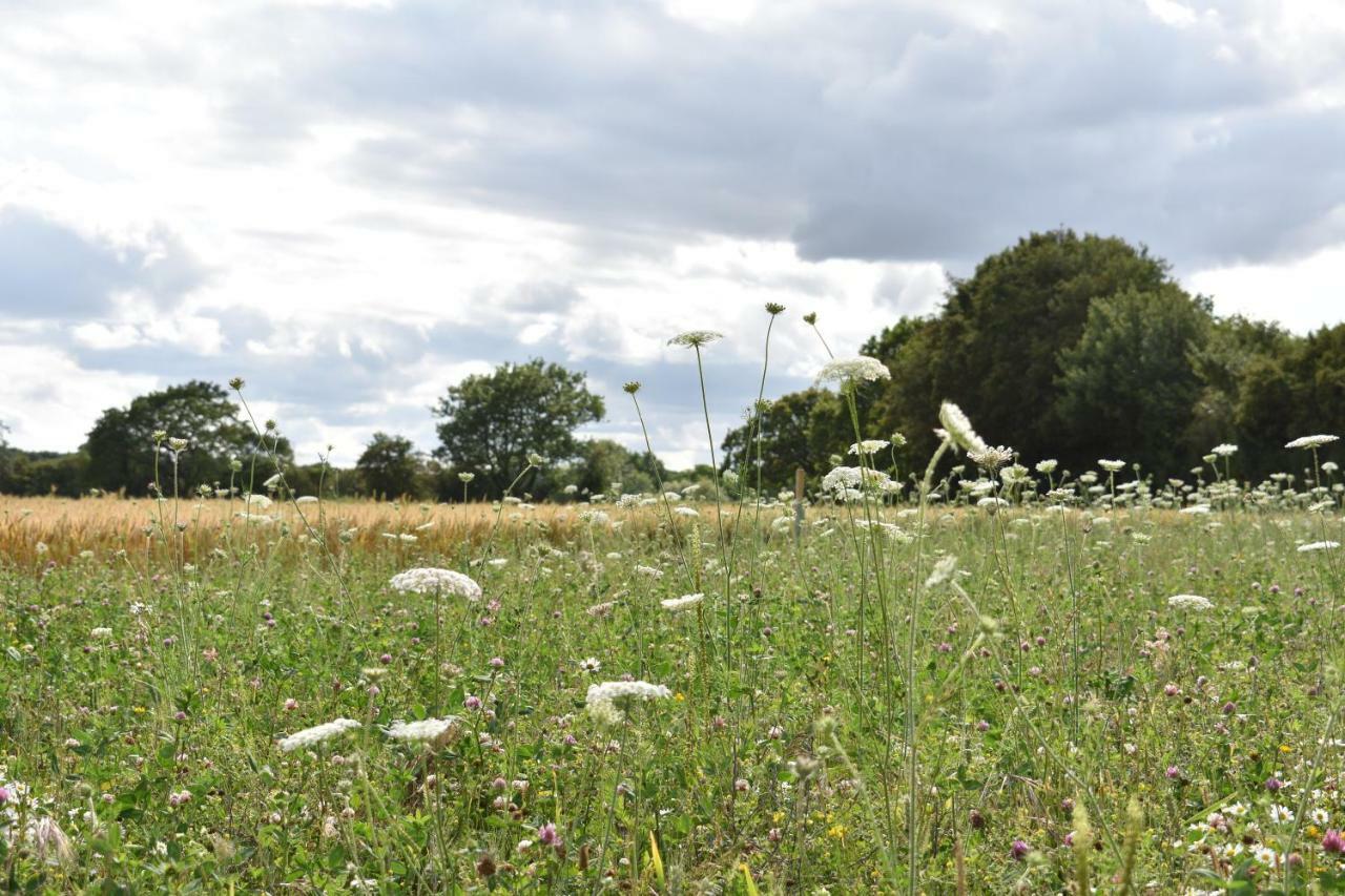 The Fieldbarns At Bullocks Farm Villa บิชอป สตอร์ทฟอร์ด ภายนอก รูปภาพ